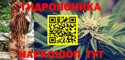 гидропоника Балахна