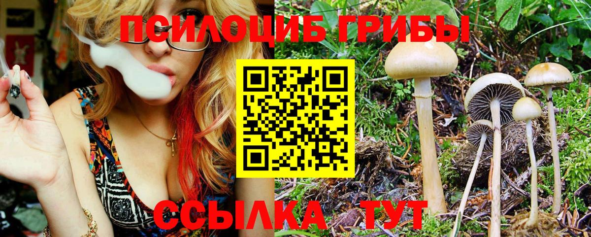 Галлюциногенные грибы MAGIC MUSHROOMS  Псилоцибиновые грибы мухоморы  Жигулёвск  Вход с VPN 