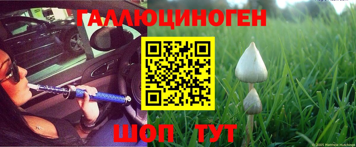Псилоцибиновые грибы Magic Shrooms Жигулёвск